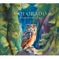 cr-design-owl